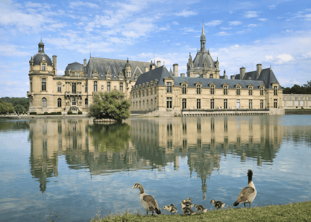 chateau-de-chantilly-vue-de-face-et-canard-face-a-l-eau