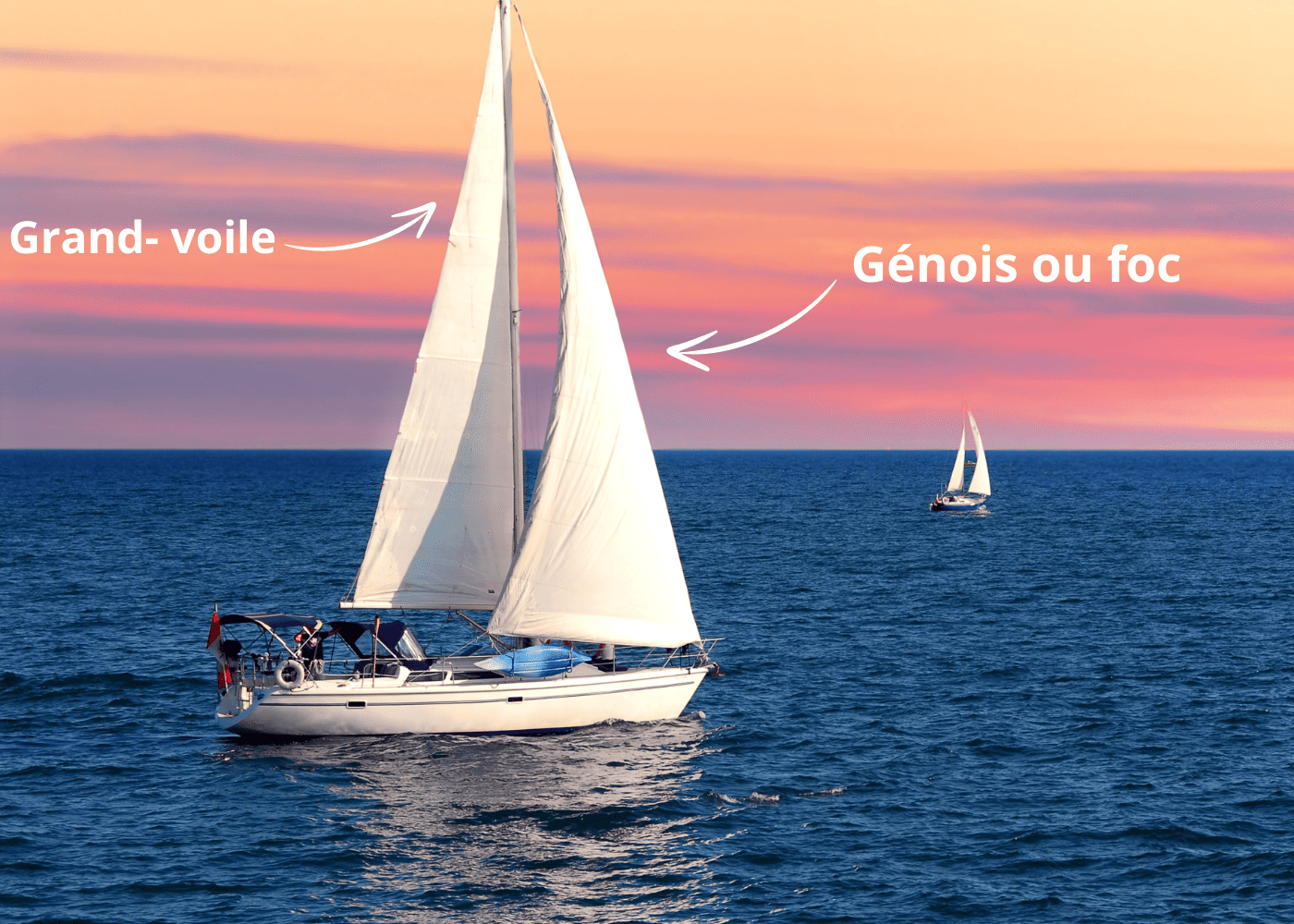 La voile pour les nuls : les essentiels à connaître