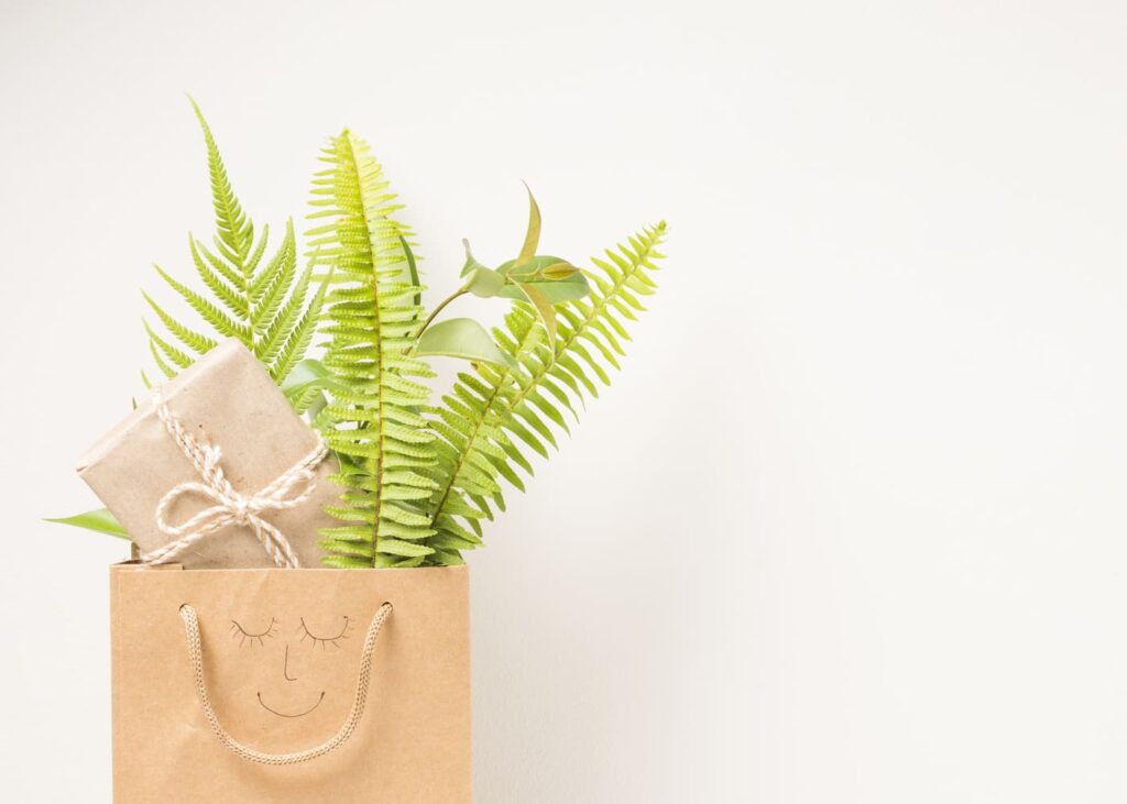 cheque-cadeau-ecoresponsables