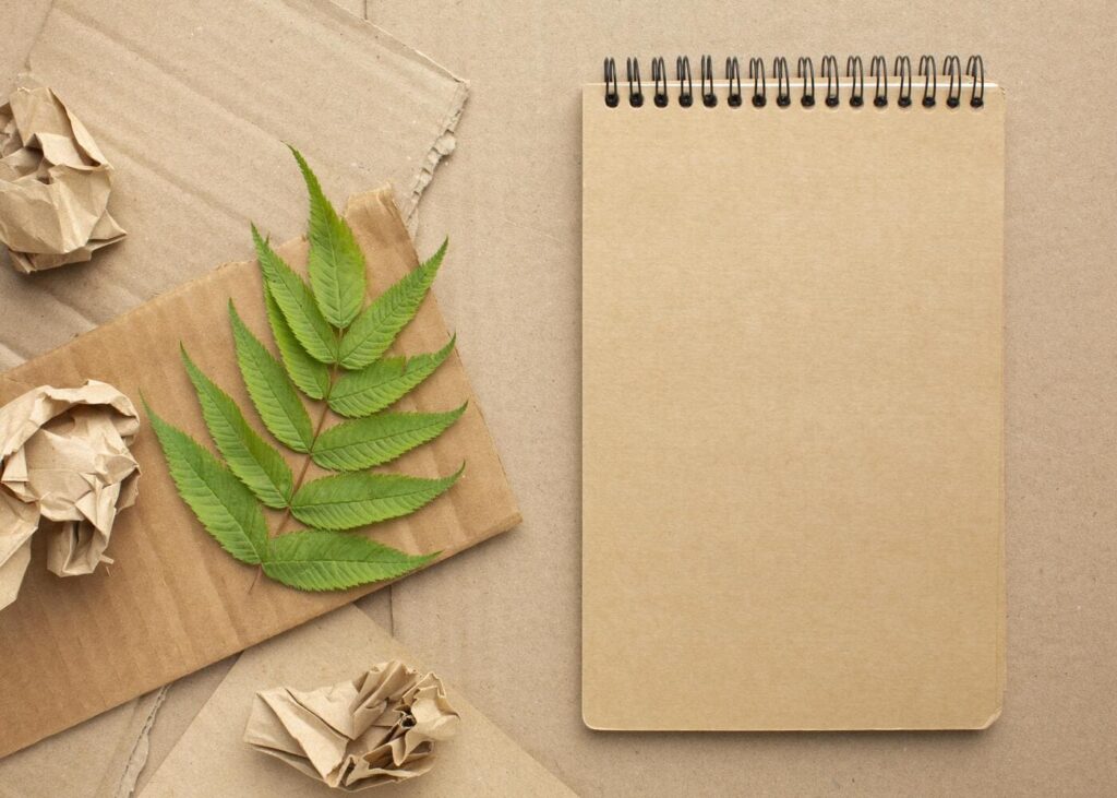 wonderbox-anniversaire-20-ans-environnement-livret-ecologiques