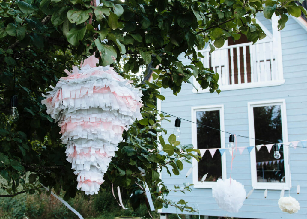 gender reveal pinata