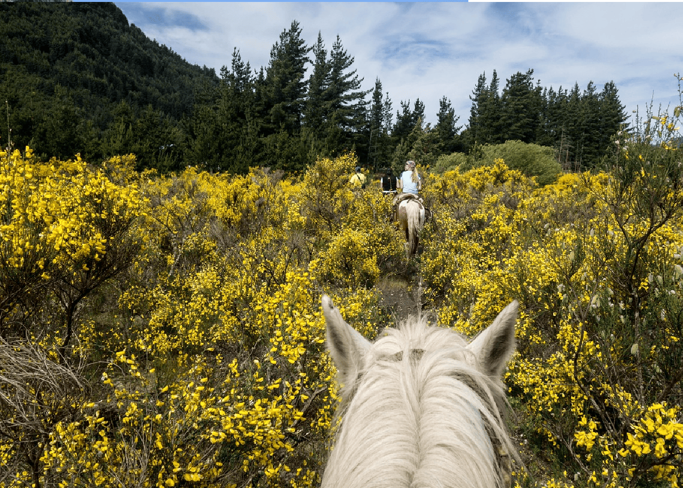 balade a cheval