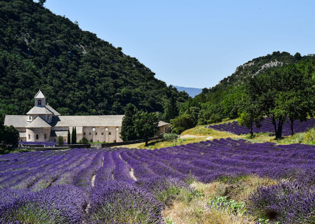 provence-sejour