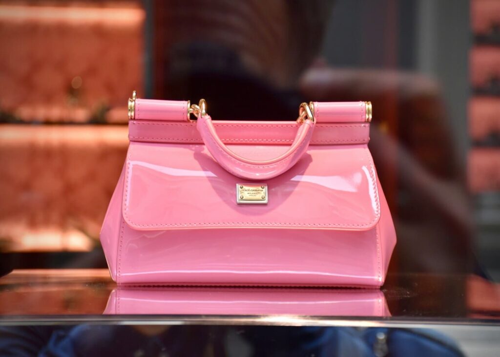 gros-plan-d-un-sac-rose-vernis