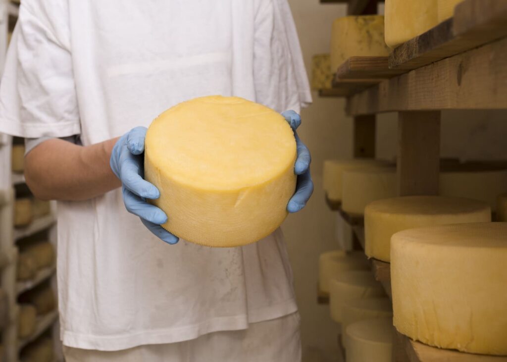 homme-en-t-shirt-blanc-qui-tient-une-meule-de-fromage-dans-ses-mains