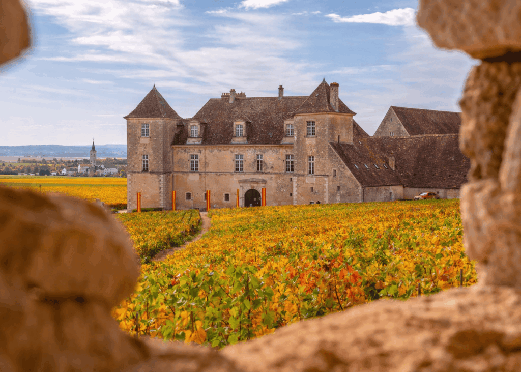 chateau-au-milieu-d-un-champs-en-bourgogne