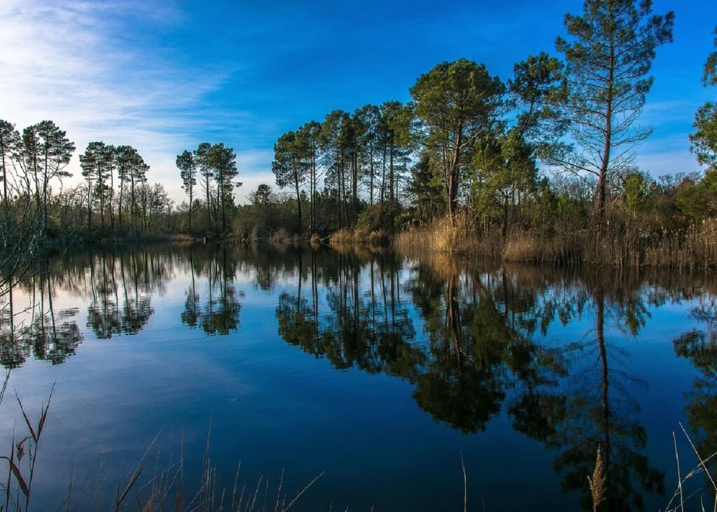 bassin d'arcachon