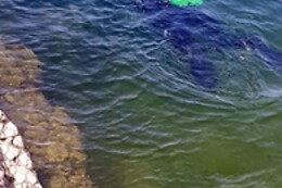 No Limit Divers