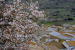 HOTEL RURAL LAS MONTERAS