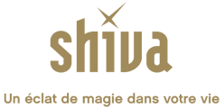 Logo Shiva, Wonderbox