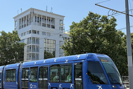 Miranove - photo 11
