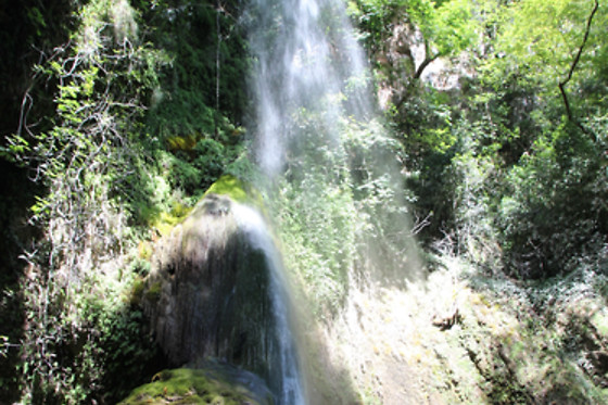 River Tribe - photo 16