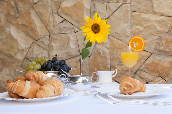 Garden Spa Boutique Hotel - photo 2