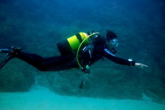 TOSSASUB DIVING CENTER - photo 2