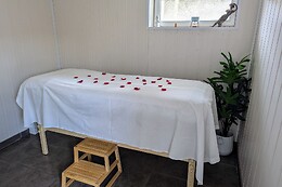 Véronique Geronutti, Naturopathe