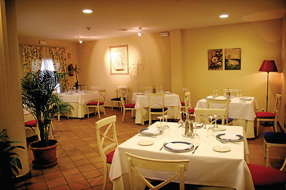 HOTEL PALACIO LAS MANILLAS - photo 3