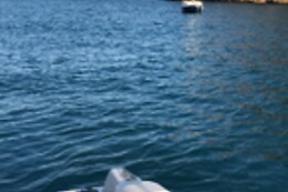 FLYING FISH TOURS