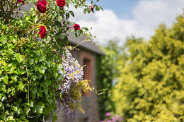 Arts in the Garden
