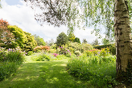 Arts in the Garden