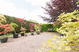 Arts in the Garden
