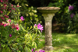 Arts in the Garden