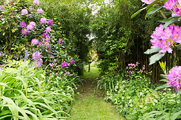 Arts in the Garden