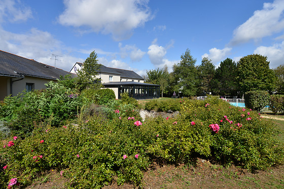 Hôtel de la Saulaie - photo 16