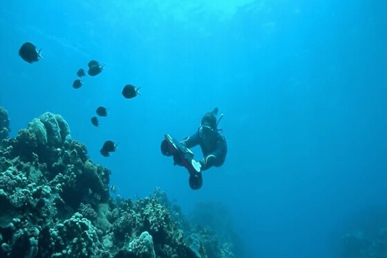 InfiniBlue - photo 10
