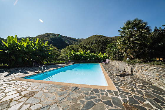 La Terrasse - photo 18