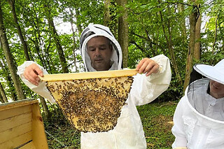 Stage Apiculture Récolte de miel à Chaume-en-Brie (77)