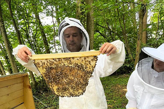 Stage Apiculture Récolte de miel à Chaume-en-Brie (77)