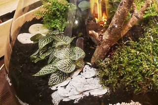 Atelier Terrarium à Paris 15ème