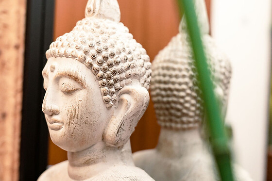 MANDALA WELLNESS - photo 8