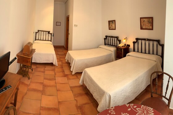 HOSPEDERIA BODAS DE CAMACHO Y LA CASA DE BASILIO EL POBRE - photo 34