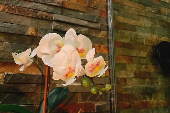 Sukkee Thai SPA - photo 4