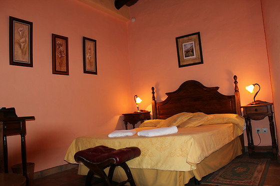 HOTEL RURAL LOS JARALES - photo 4