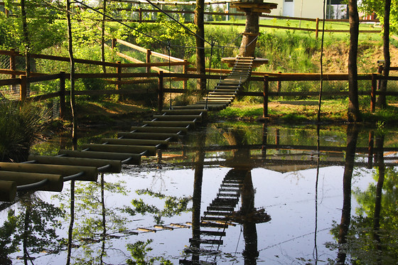 Domaine de Dienné - photo 7