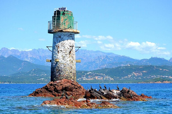 Croisière en bateau Nature et Découverte, de Santa Giulia (20)