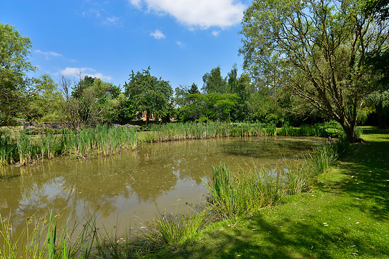 Les Hauts de Breges - photo 22