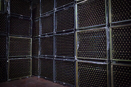 BODEGAS VIYUELA