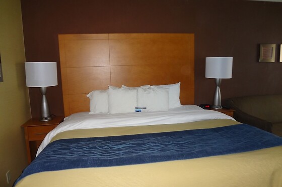 Online Booking EPS - photo 2