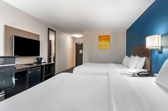 Online Booking EPS - photo 1