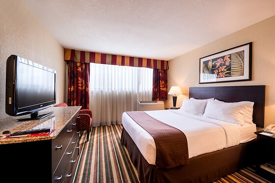 Online Booking EPS - photo 2