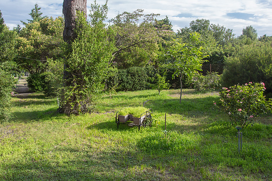 Les Vignes - photo 8