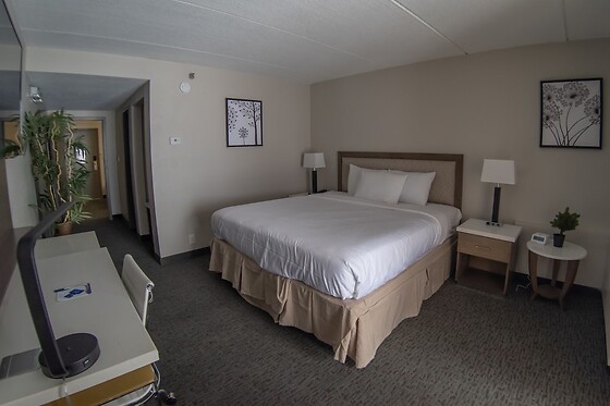 Online Booking EPS - photo 2