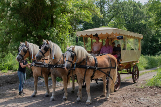 Gîte de l'Aisance - photo 12