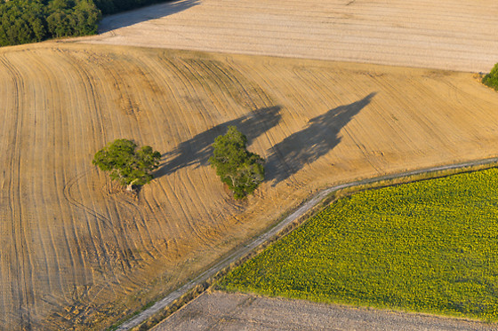 Art Montgolfières - photo 8