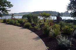 La Terrasse des Oliviers