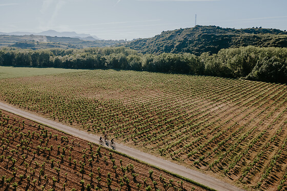 GRAPE AVENTURA - photo 10