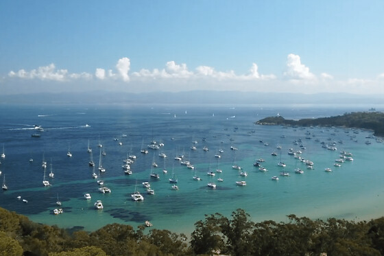 Sortie en semi-rigide baleines et escale Porquerolles, de Bandol